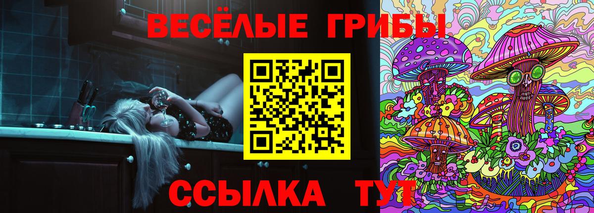 Йошкар-Ола  Галлюциногенные грибы GOLDEN TEACHER  Вход с VPN 